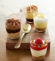 Mini Dessert Shooter Cups 